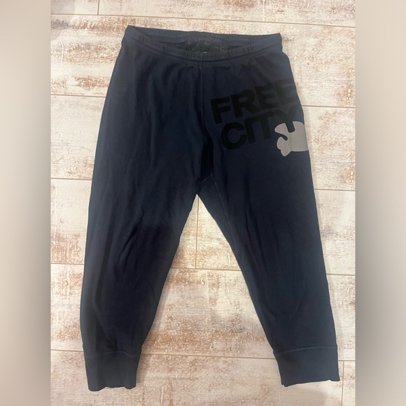 Free City 3/4 navy jogger sweatpants size M barely worn - Picture 1 of 5